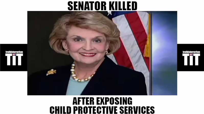 Nancy Schaefer: Corruption in CPS