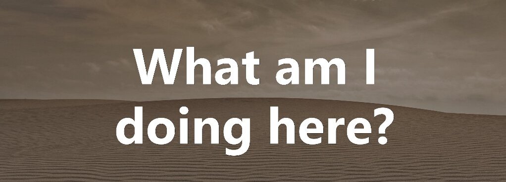 What am I doing here?
